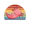 Vous Axolotl Questions