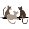 Cats