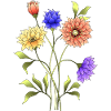 Fleur
