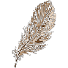 Feather