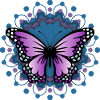Schmetterling