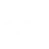 White tyrannosaurus skeleton
