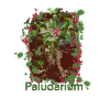 Paludarium