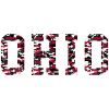 Ohio camoflague