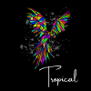 Perroquet Tropical Géometrique
