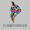 Chat Schrödinger
