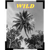 Wild