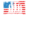 Erdmännchen Auf Amerikaflagge