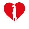 Meerkats Love Red Heart