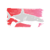 Crazy shark lady