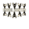 Fossil Hunter Paleontology Paleontologist