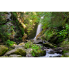 Wasserfall im Wald