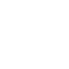 The Sunna