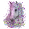 Hestemotiv Akvareller Rider Gave