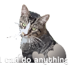 Cat Mietze Cat Kitten