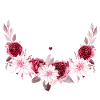 super témoin