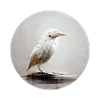 Fog Bird