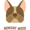 french bulldog monday mood