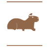 Capybara Wasserschwein