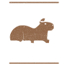 Capybara Wasserschwein