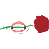 Roses are Red Bite