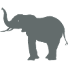 Elefant
