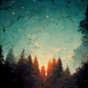 Sunset in the forest