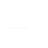 Dog Treats