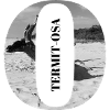 Termit-Osa
