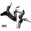 Termit-Osa