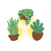 Mon jardin mes règles allotissements