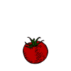 I Said No Tomato 4