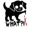 Fun halloween black dog cat what bloody knife