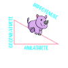 Mathematician Math Teacher Hippotenuse