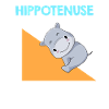 Hippotenuse Algebra Analysis