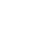 Year of The Tiger - Animal