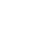 Monster Truck - Racing