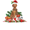 Vizsla dog, Christmas Themed