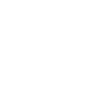 Koala - Bear