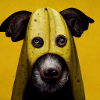Banana Dog