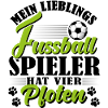 Fußball Hund Hundetraining