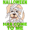 HALLOWEEN HAS COME TO ME