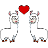 Alpaka Comic Paar liebe