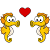 Seahorse couple love