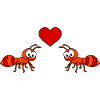 Ant Comic Couple love