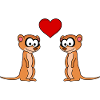 Meerkat Comic Couple Love