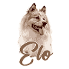 mum, dogs,graffiti,dog,illu,eloschaboro