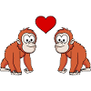Orangutan monkey couple love