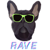 RAVE