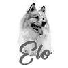 mum, dogs,graffiti,dog,illu,eloschaboro
